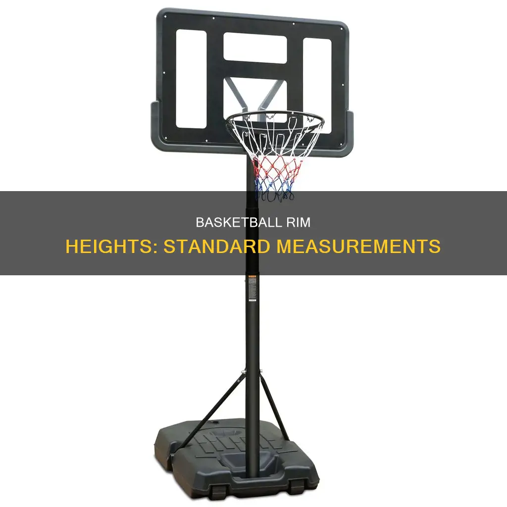 how tall are basketball rims on average