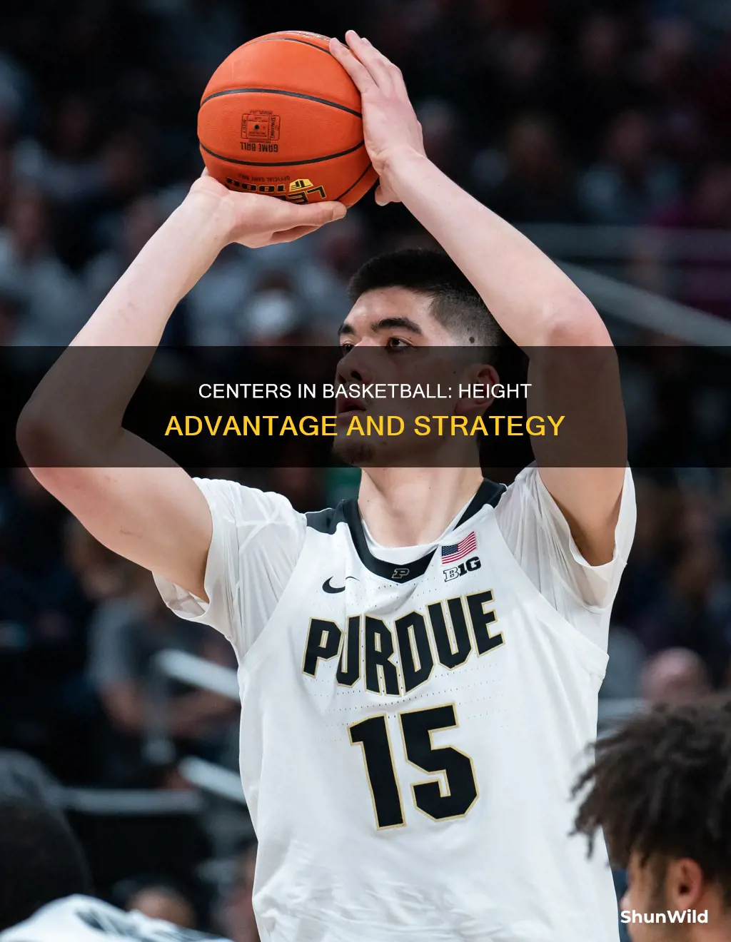 how tall are centers in basketball