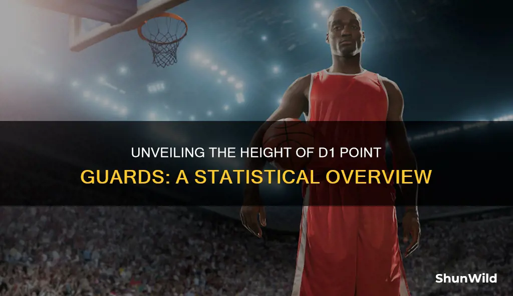 how tall are d1 basketball point guard