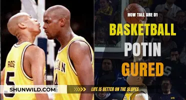 The Height of D1 Basketball Players: How Tall?