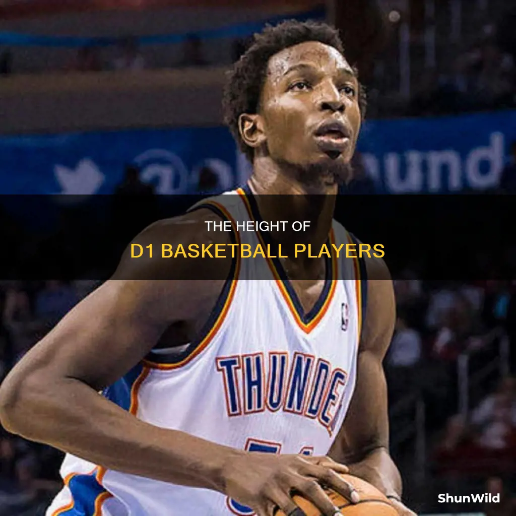 how tall are d1 basketball