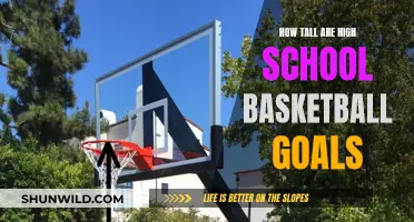 Basketball Dreams: High School Hoop Heights Explored