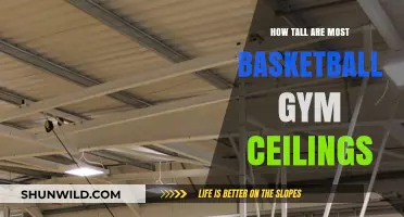 Basketball Gym Ceiling Heights: How High Do They Go?