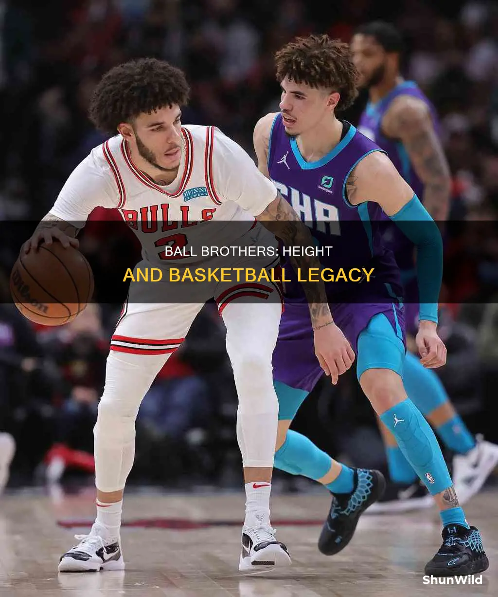 how tall are the ball brothers basketball