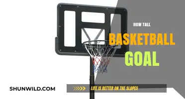 The Perfect Height for Basketball Goals