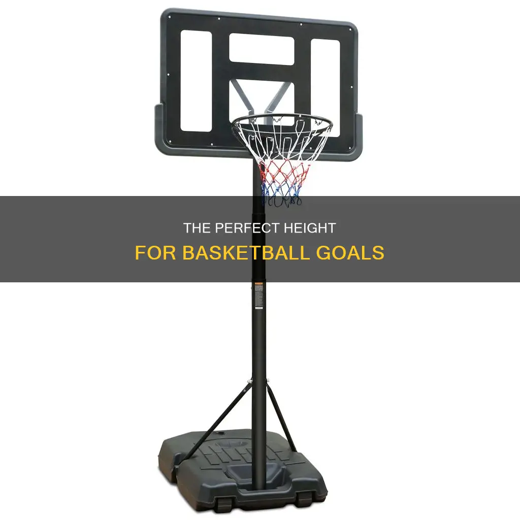 how tall basketball goal