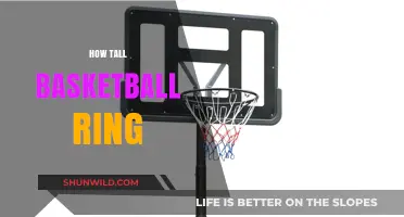 The Height of Basketball Hoops: A Standardized Game