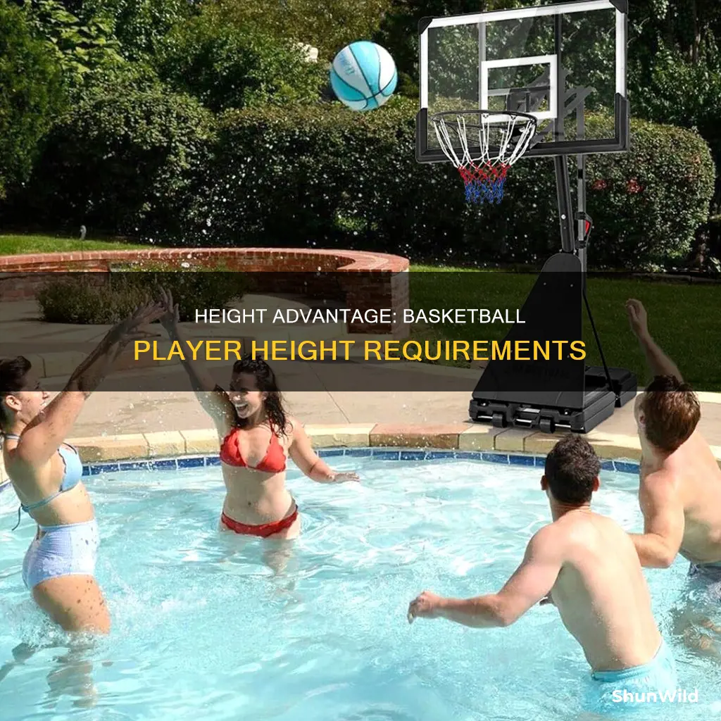 how tall do you have to be for basketball