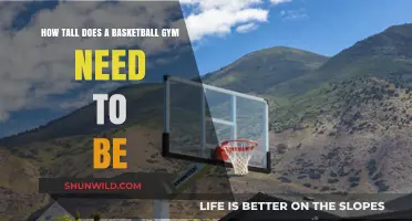 Basketball Gym Height: How Tall Should It Be?