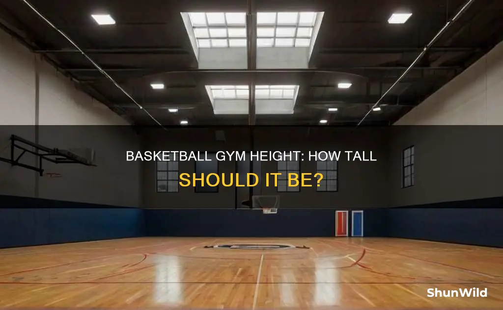 how tall does a basketball gym need to be