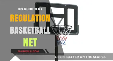 What's the Height of a Basketball Net?