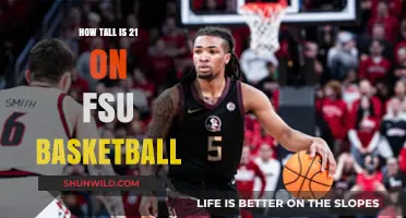 Who's the Tallest Player on FSU's Basketball Team?