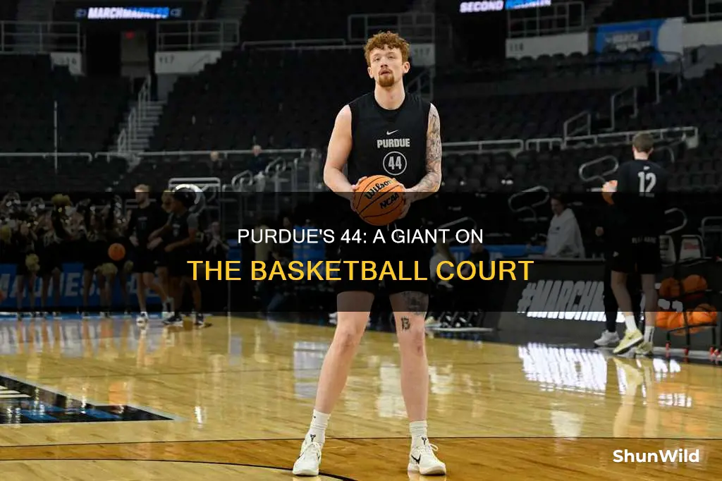 how tall is 44 on purdue basketball