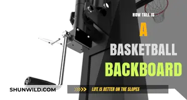 Backboard Heights: Standard Measurements for Basketball Hoops