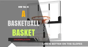 The Height of Basketball Hoops: Standard Measurements