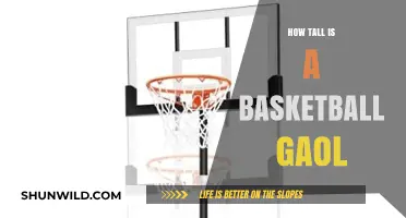 The Height of Basketball Goals: Standard Measurements