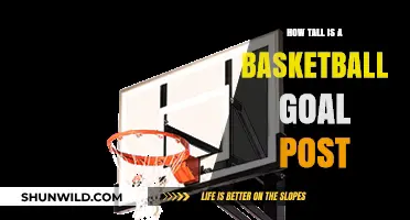 The Standard Height of Basketball Hoops Explained