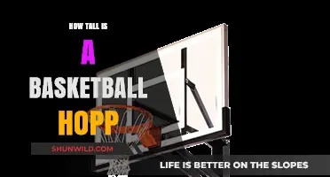 The Height of Basketball Hoops: Standard Measurements