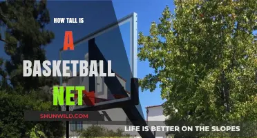 The Height of Basketball Nets: Standard Measurements