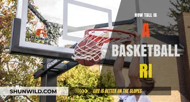 The Height of Basketball Rim Success