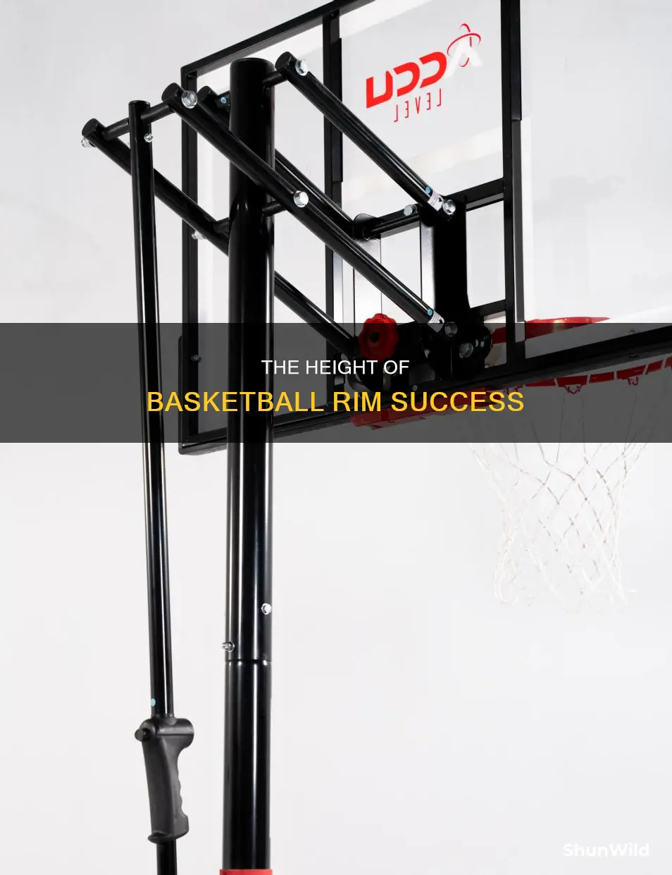 how tall is a basketball ri