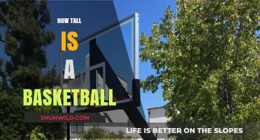 The Height of Basketballs: Standard Measurements and Rules