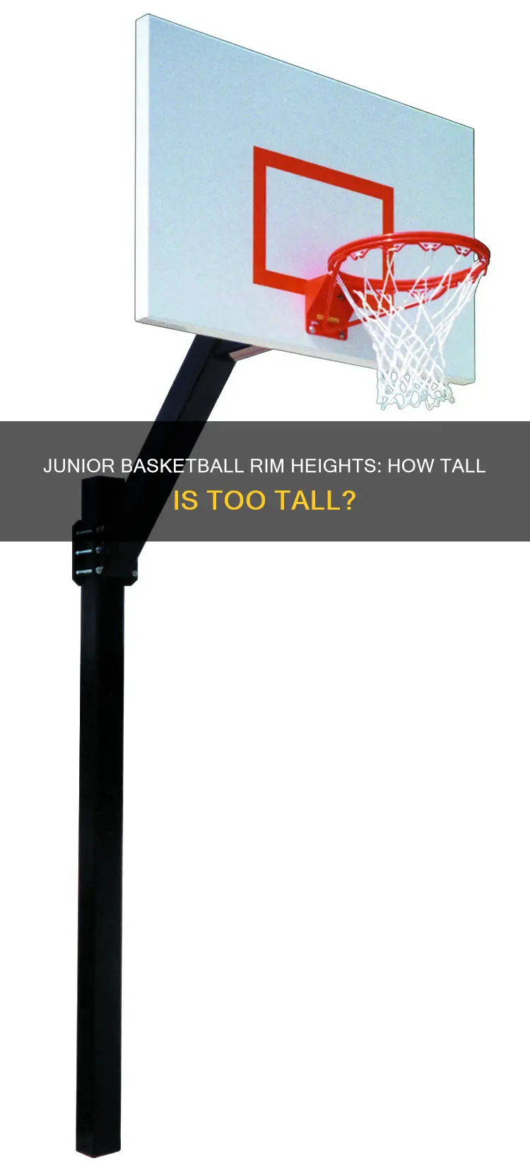 how tall is a junior school basketball rim