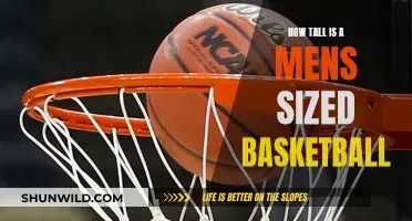 The Height of Men's Basketballs: Standard Size and Regulation