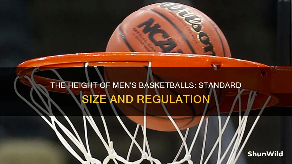 how tall is a mens sized basketball