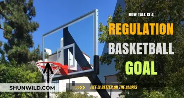 The Standard Height of a Basketball Hoop