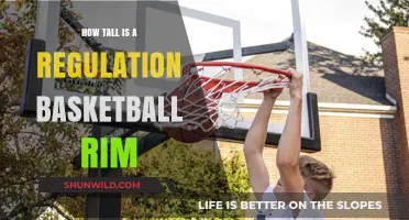 Basketball Rim Height: Regulation Standards for Hoops