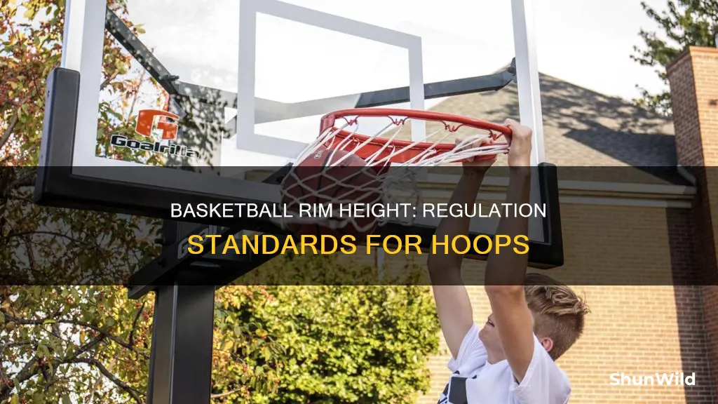 how tall is a regulation basketball rim
