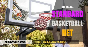The Standard Height of Basketball Nets: How Tall?