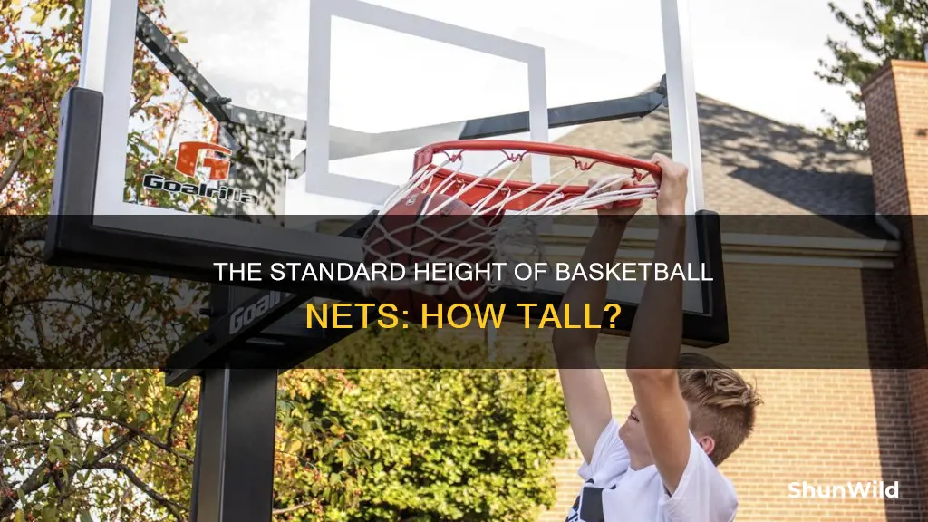 how tall is a standard basketball net