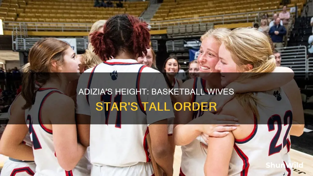 how tall is adizia basketball wives