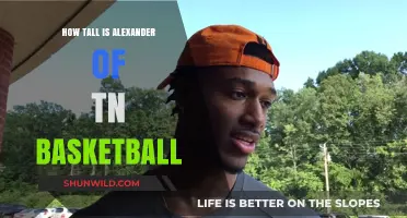 Alexander's Height: A Basketball Advantage?