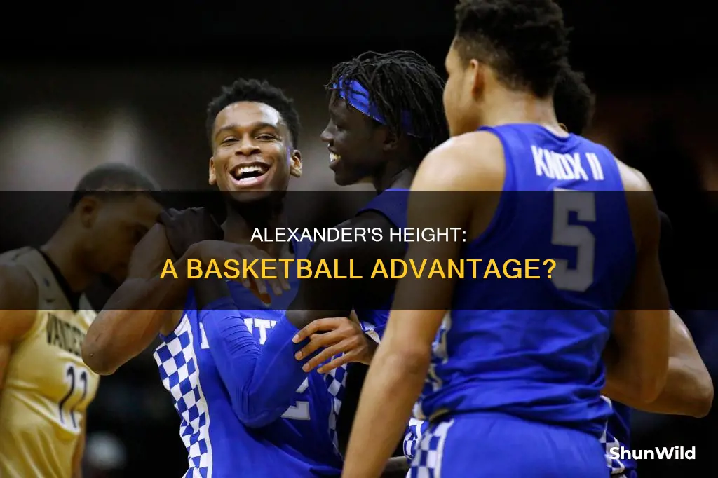 how tall is alexander of tn basketball