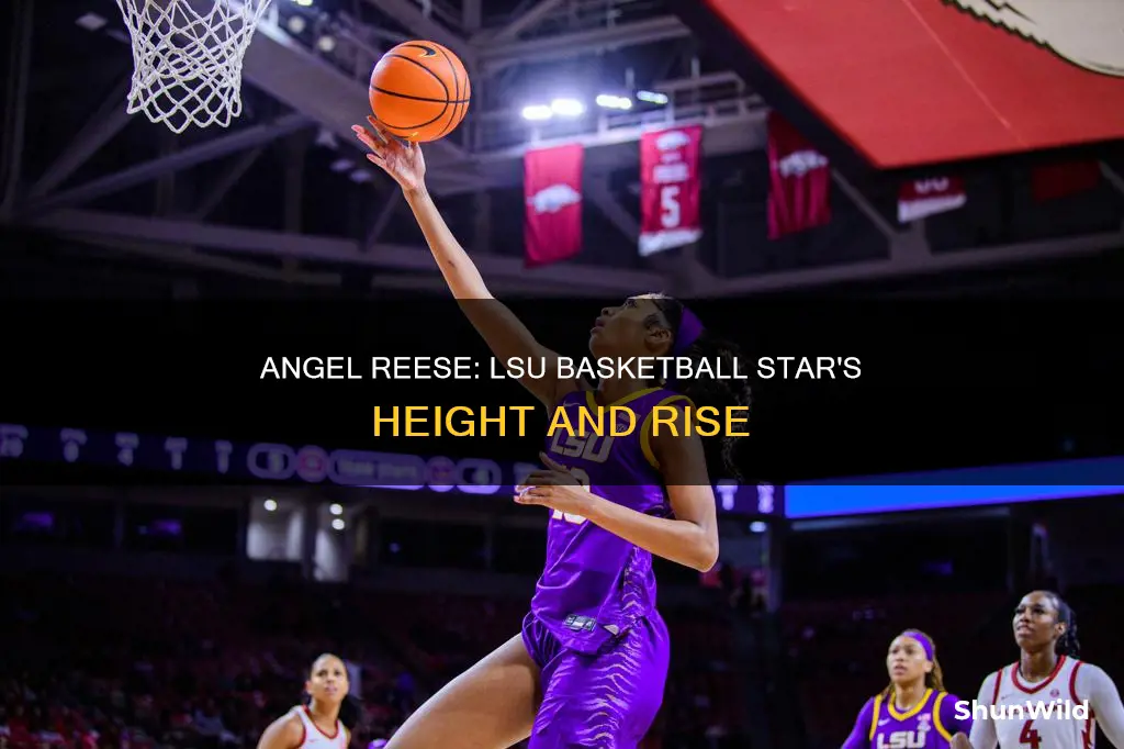how tall is angel reese lsu basketball
