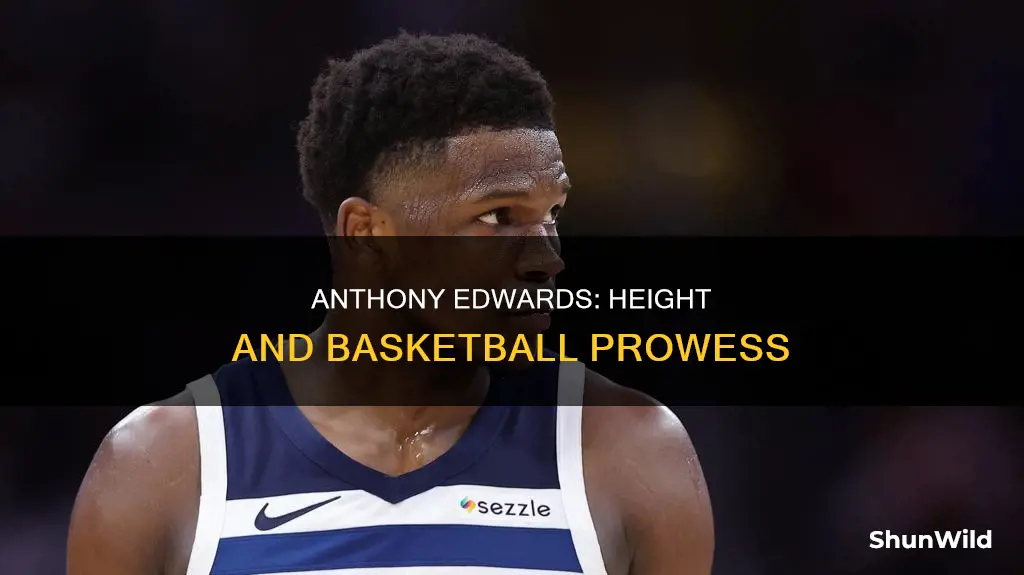 how tall is anthony edwards basketball