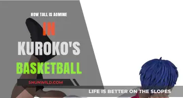 Aomine's Height: Kuroko's Basketball Giant