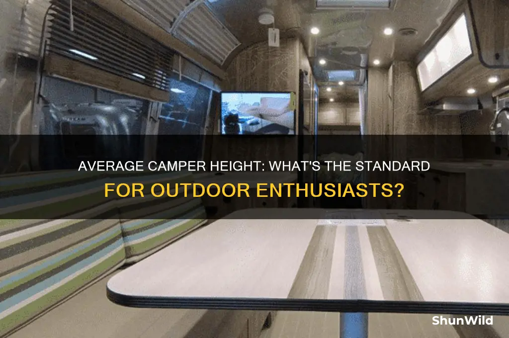 how tall is average camper