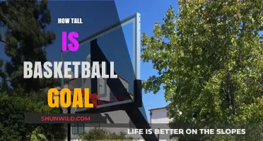 The Perfect Height for Basketball Goals