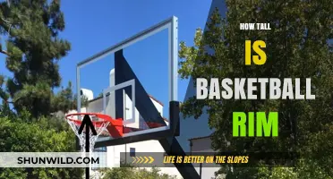 Basketball Rim Height: How Tall Is It?