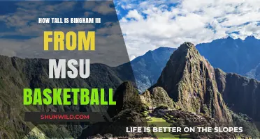 Bingham III's Height: MSU Basketball Star's Rise