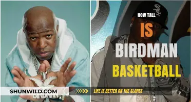 Birdman's Height: How Tall Is This Basketball Star?