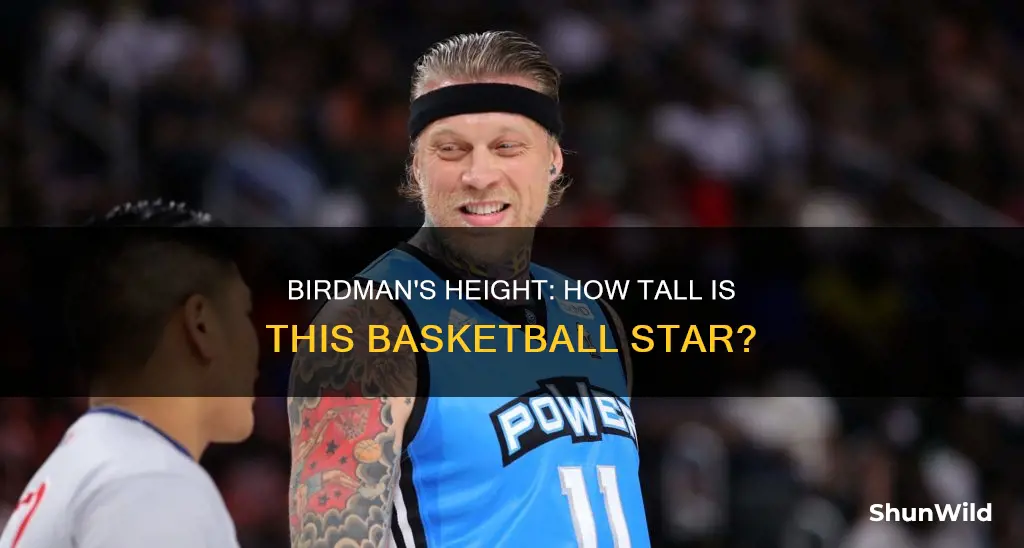 how tall is birdman basketball