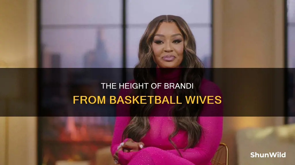 how tall is brandi from basketball wives