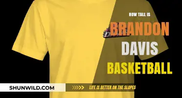 Brandon Davis: Height and Basketball Prowess