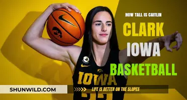 Caitlin Clark's Height: Iowa Basketball Star Soars