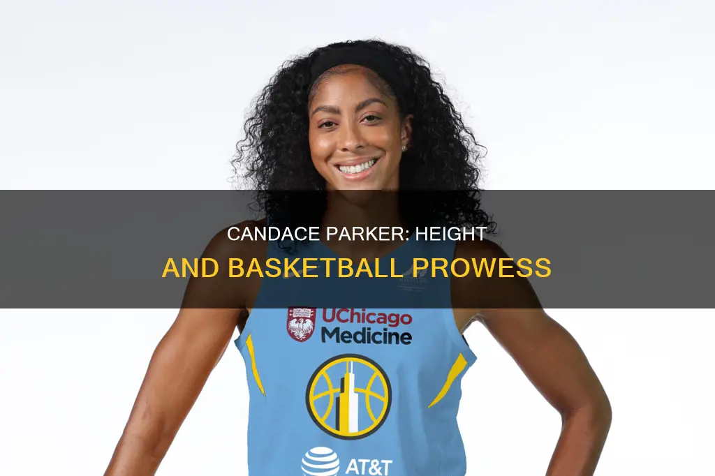 how tall is candace parker basketball